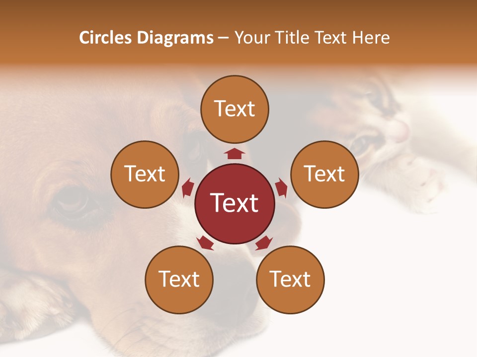 Australia Waterfall National PowerPoint Template