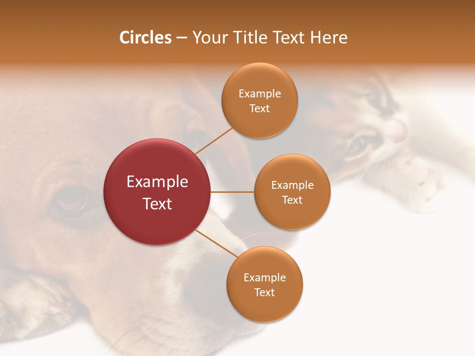 Australia Waterfall National PowerPoint Template