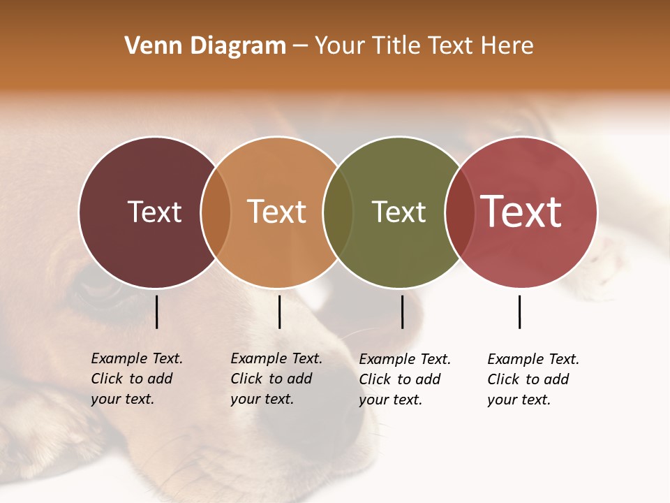 Australia Waterfall National PowerPoint Template