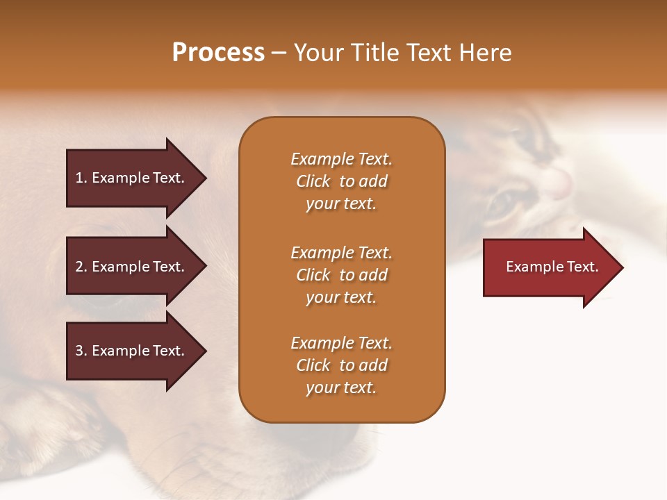 Australia Waterfall National PowerPoint Template