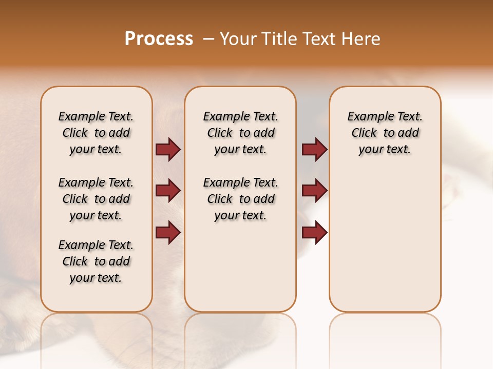 Australia Waterfall National PowerPoint Template