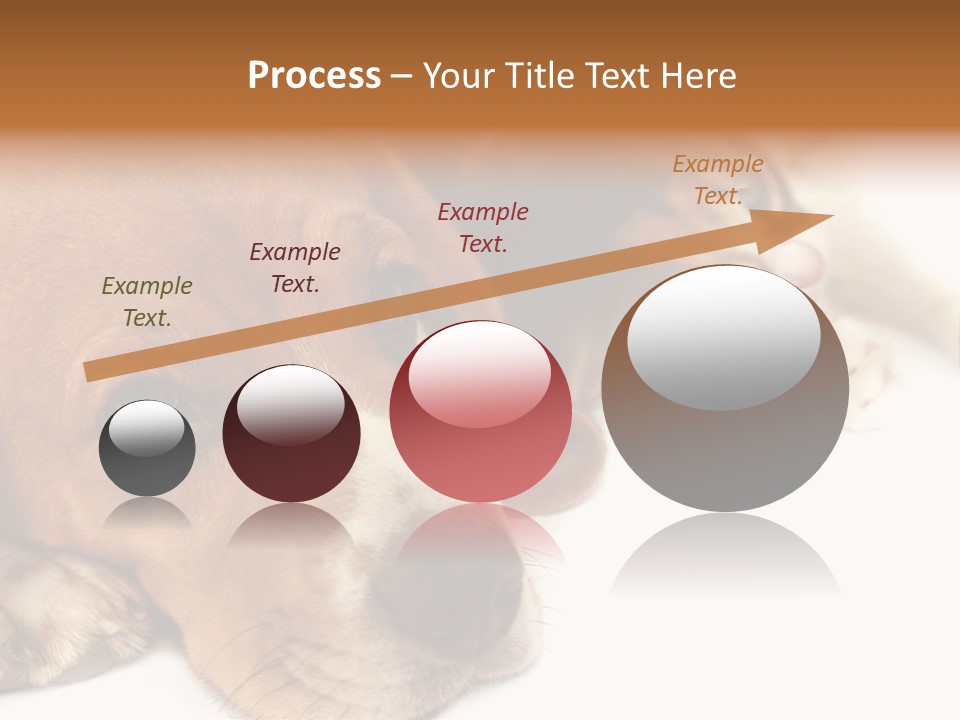 Australia Waterfall National PowerPoint Template