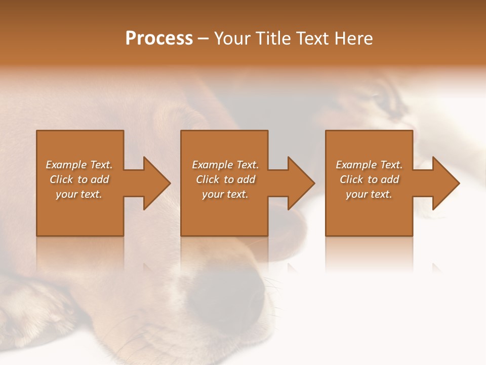 Australia Waterfall National PowerPoint Template