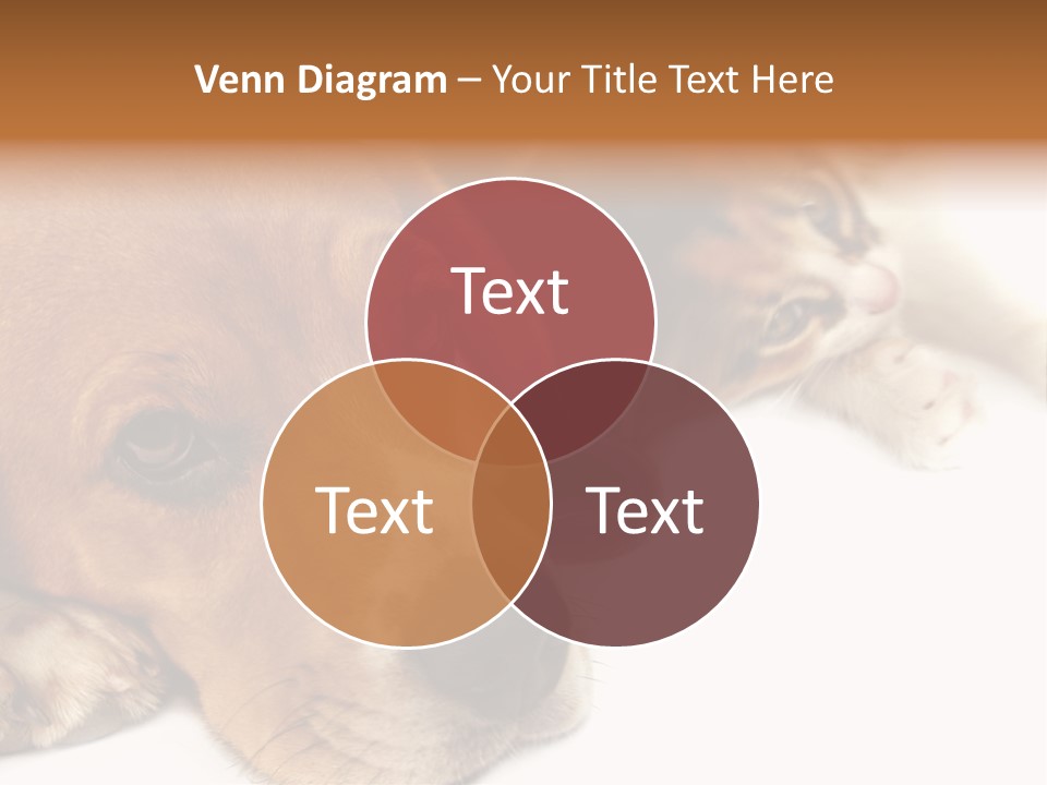 Australia Waterfall National PowerPoint Template