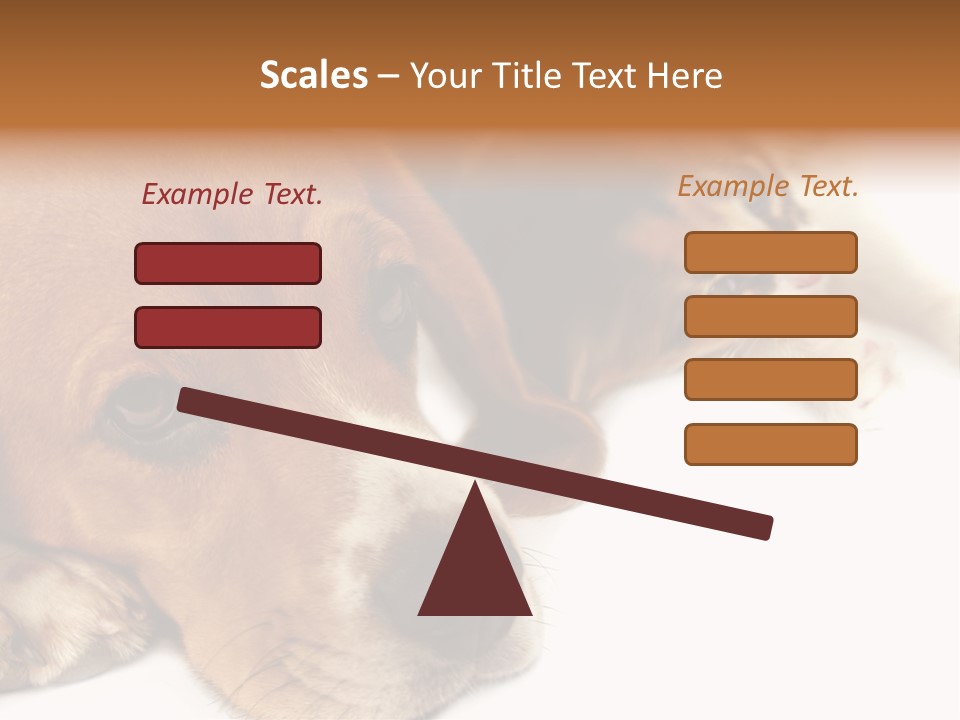 Australia Waterfall National PowerPoint Template