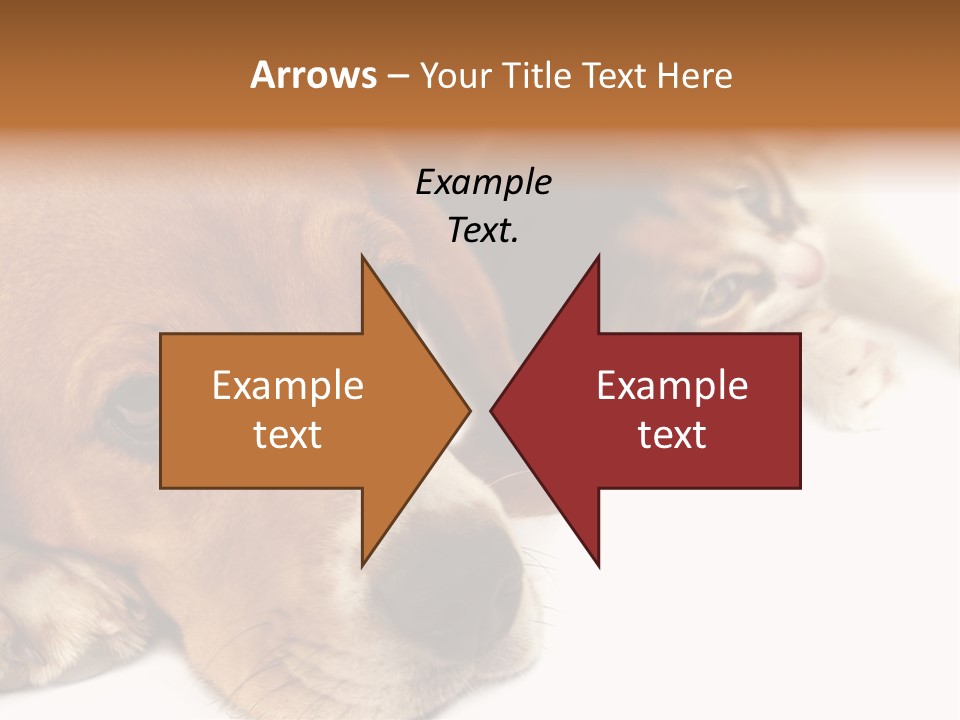 Australia Waterfall National PowerPoint Template