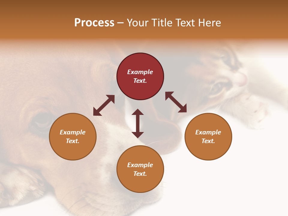 Australia Waterfall National PowerPoint Template