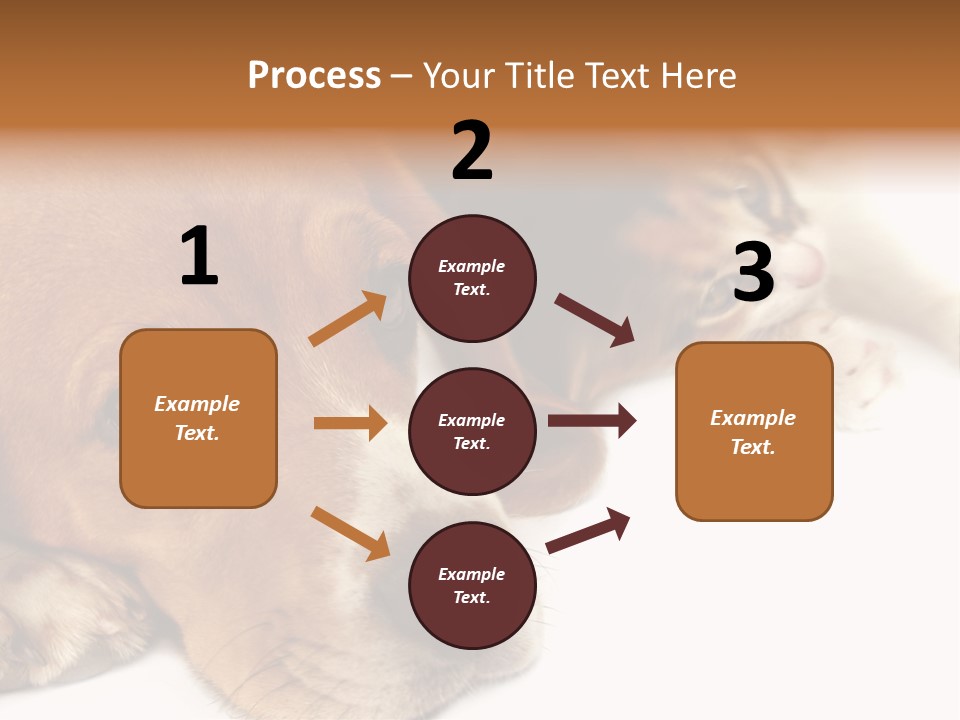 Australia Waterfall National PowerPoint Template