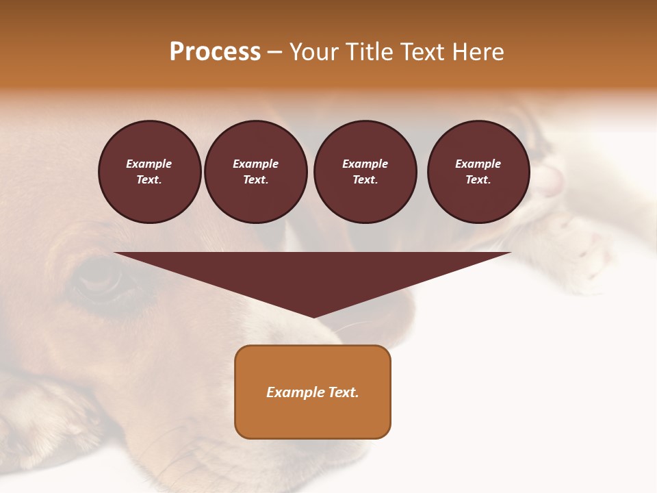Australia Waterfall National PowerPoint Template