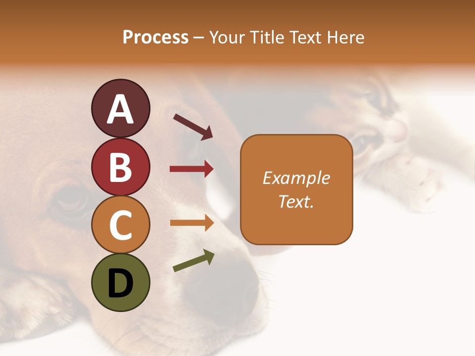 Australia Waterfall National PowerPoint Template