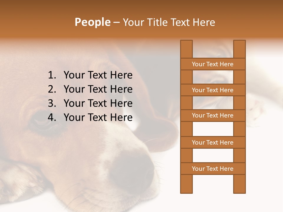 Australia Waterfall National PowerPoint Template