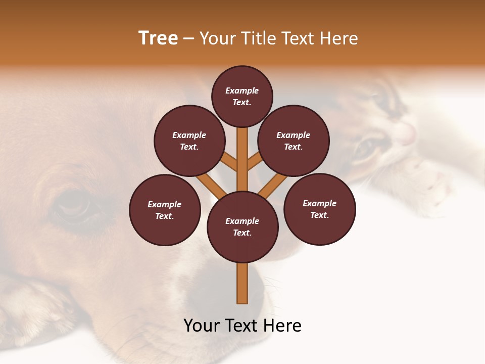 Australia Waterfall National PowerPoint Template