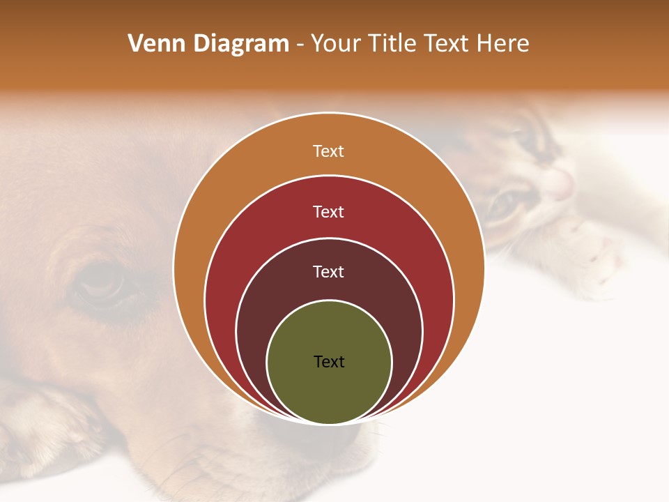 Australia Waterfall National PowerPoint Template