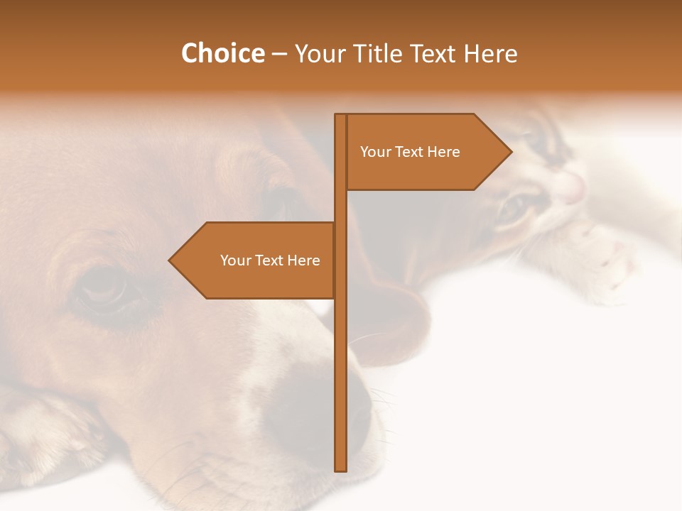 Australia Waterfall National PowerPoint Template