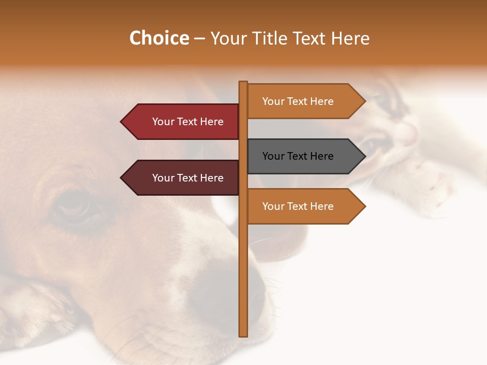 Australia Waterfall National PowerPoint Template