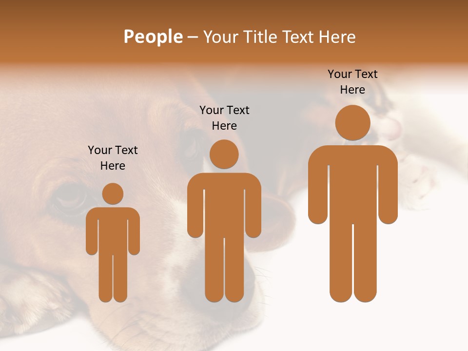 Australia Waterfall National PowerPoint Template