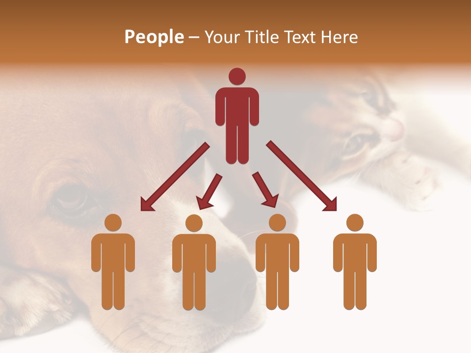 Australia Waterfall National PowerPoint Template