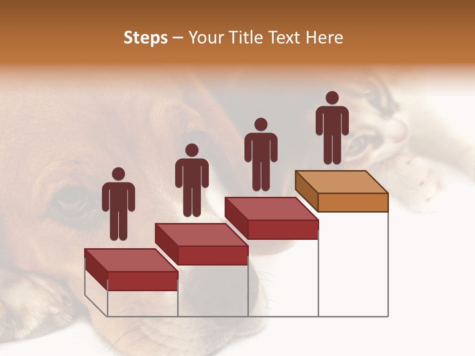 Australia Waterfall National PowerPoint Template