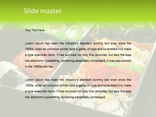 Gari Dish Nigiri PowerPoint Template