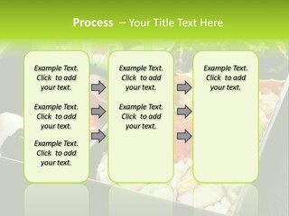 Gari Dish Nigiri PowerPoint Template