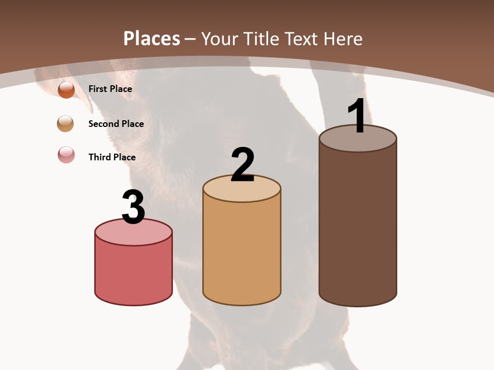 Space Star Modern PowerPoint Template