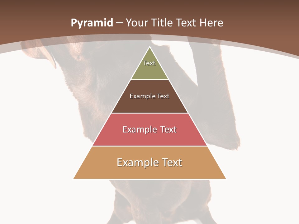 Space Star Modern PowerPoint Template