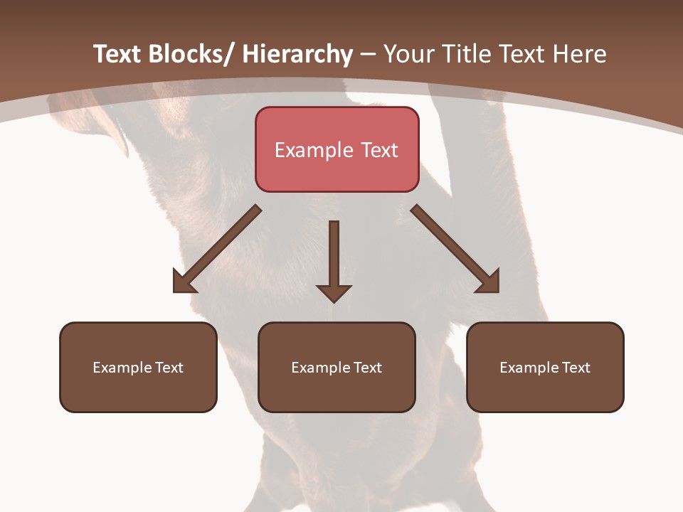Space Star Modern PowerPoint Template