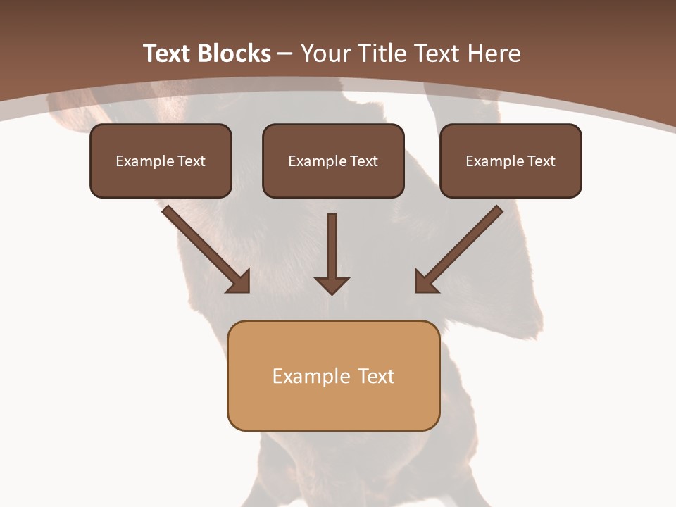 Space Star Modern PowerPoint Template