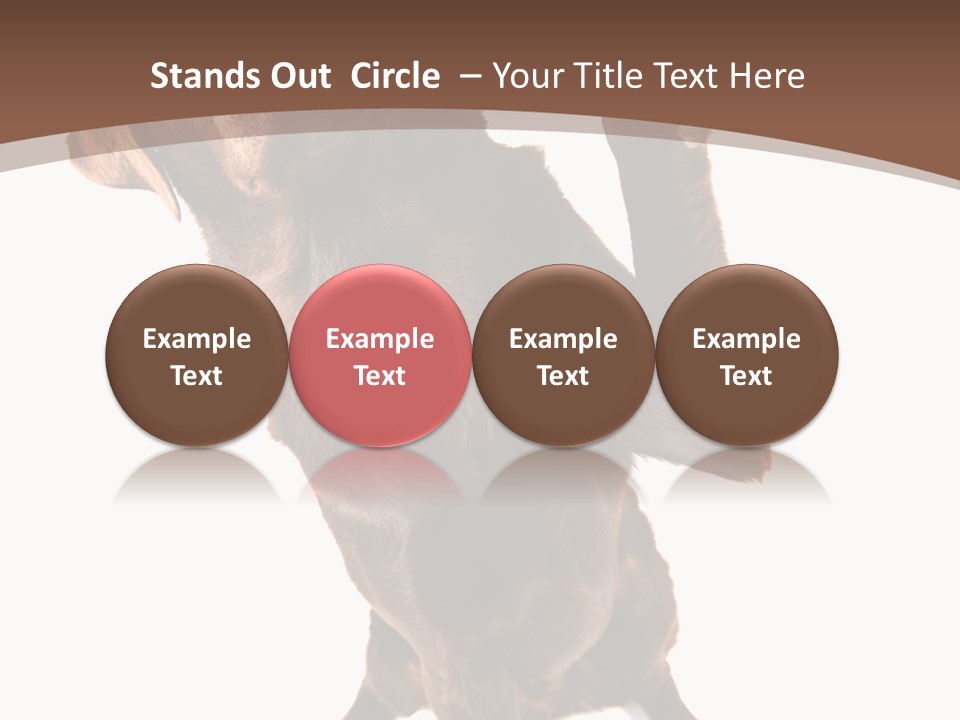 Space Star Modern PowerPoint Template