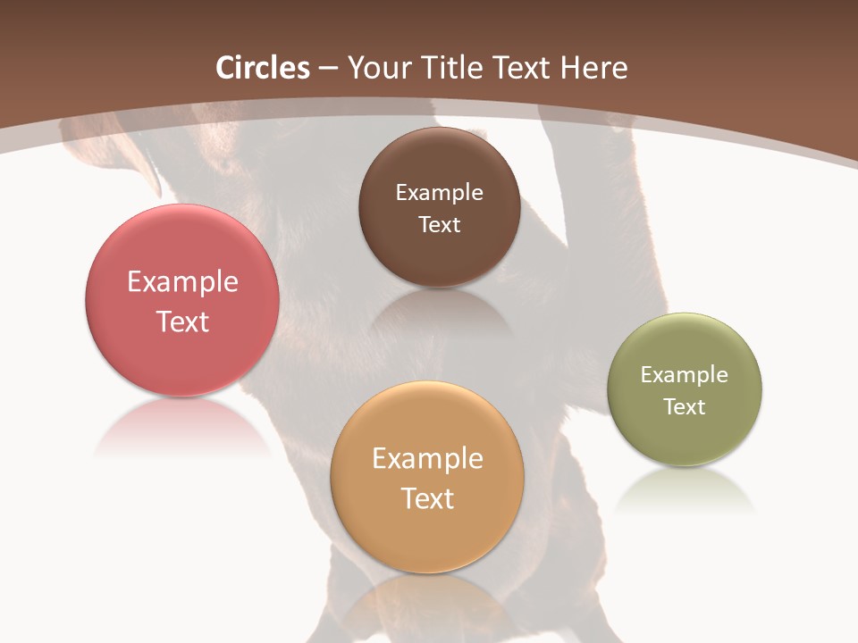 Space Star Modern PowerPoint Template