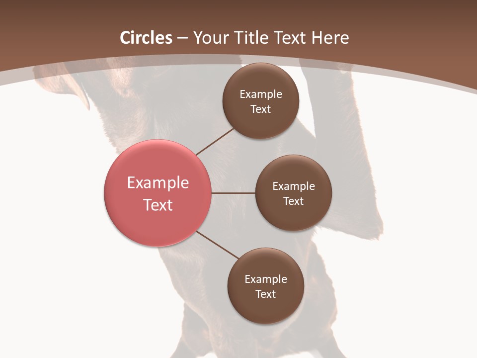 Space Star Modern PowerPoint Template