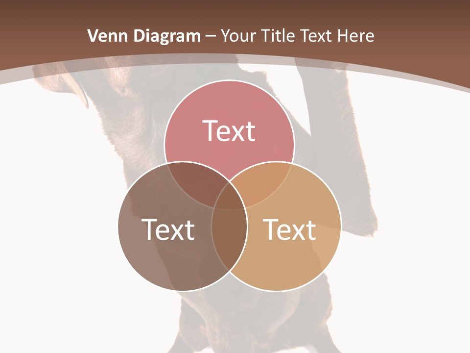 Space Star Modern PowerPoint Template