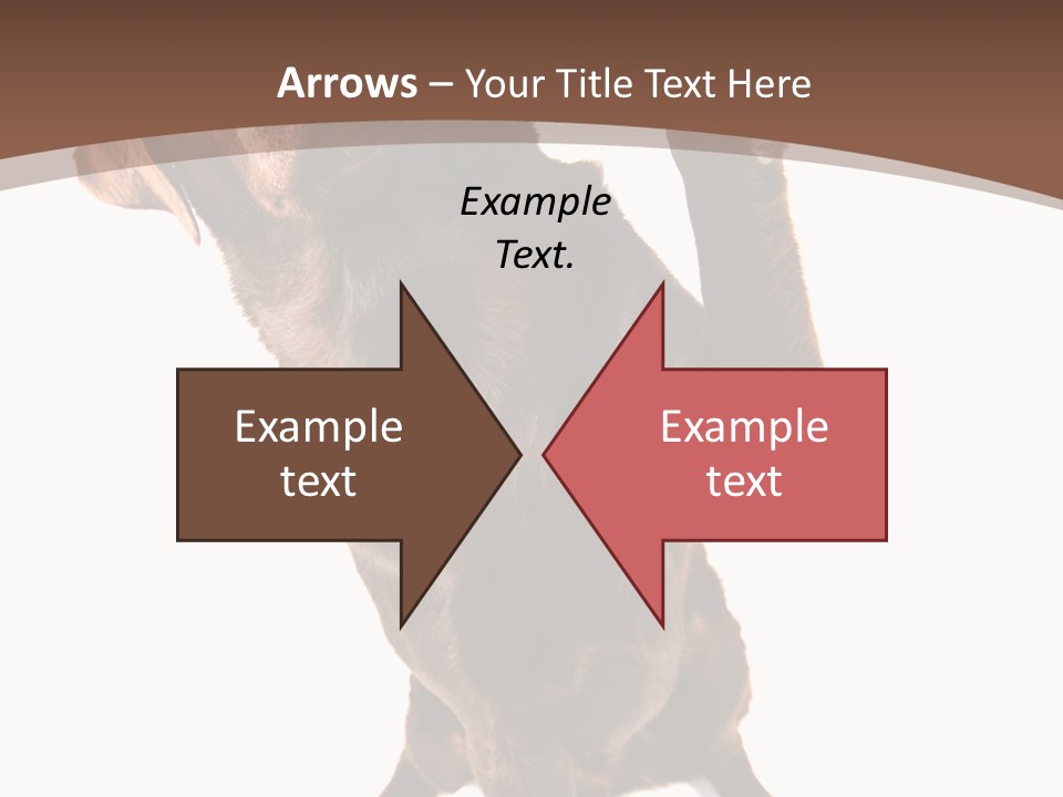 Space Star Modern PowerPoint Template