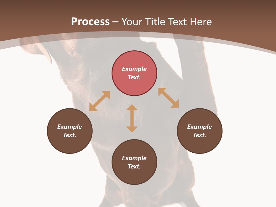 Space Star Modern PowerPoint Template