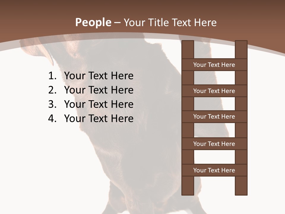 Space Star Modern PowerPoint Template