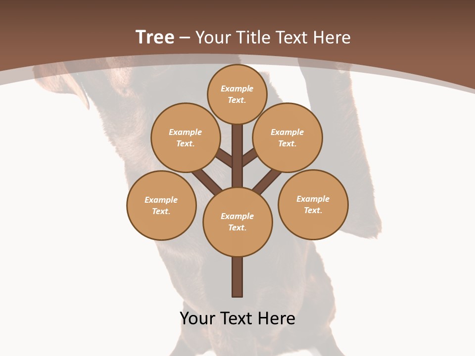 Space Star Modern PowerPoint Template