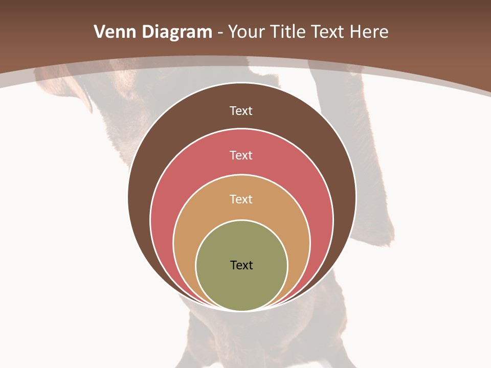 Space Star Modern PowerPoint Template