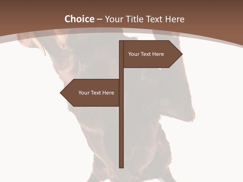 Space Star Modern PowerPoint Template