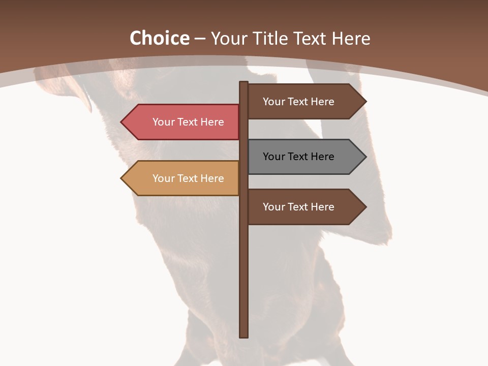 Space Star Modern PowerPoint Template