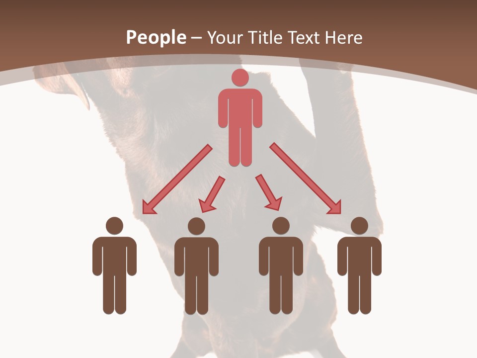 Space Star Modern PowerPoint Template