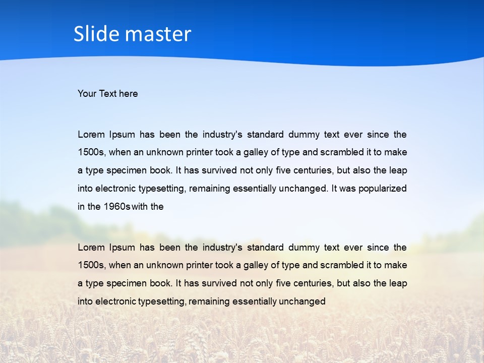 Background Wheat Straw PowerPoint Template