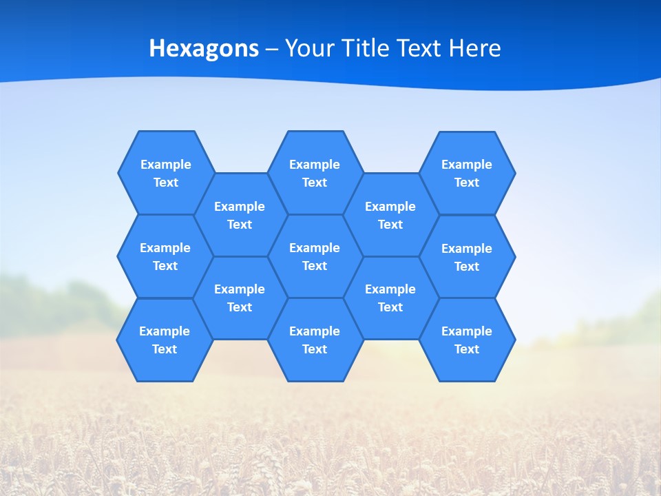 Background Wheat Straw PowerPoint Template