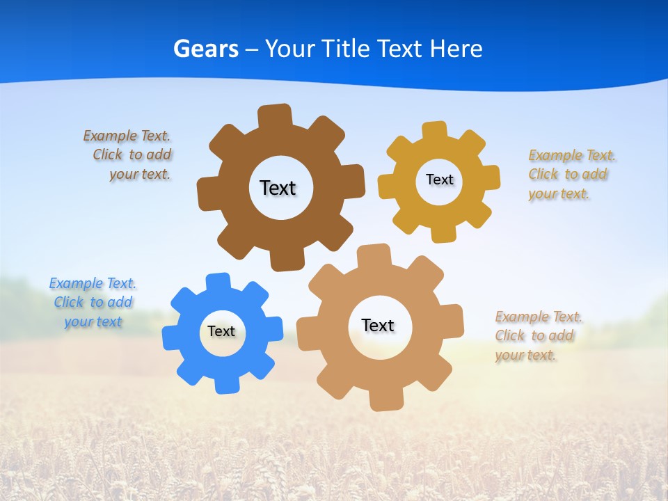Background Wheat Straw PowerPoint Template