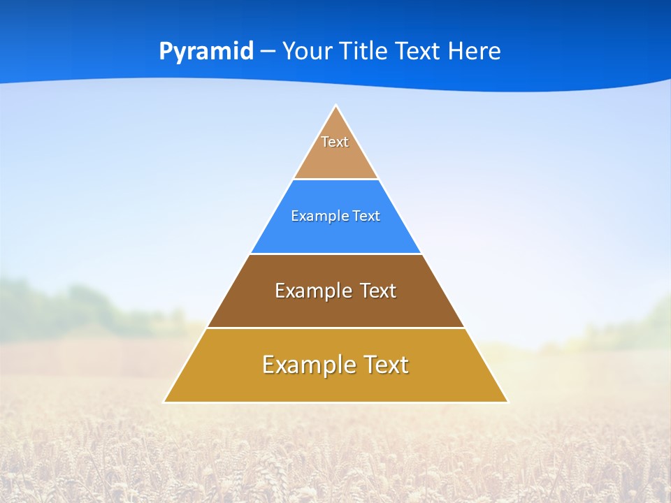Background Wheat Straw PowerPoint Template