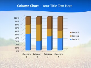 Background Wheat Straw PowerPoint Template