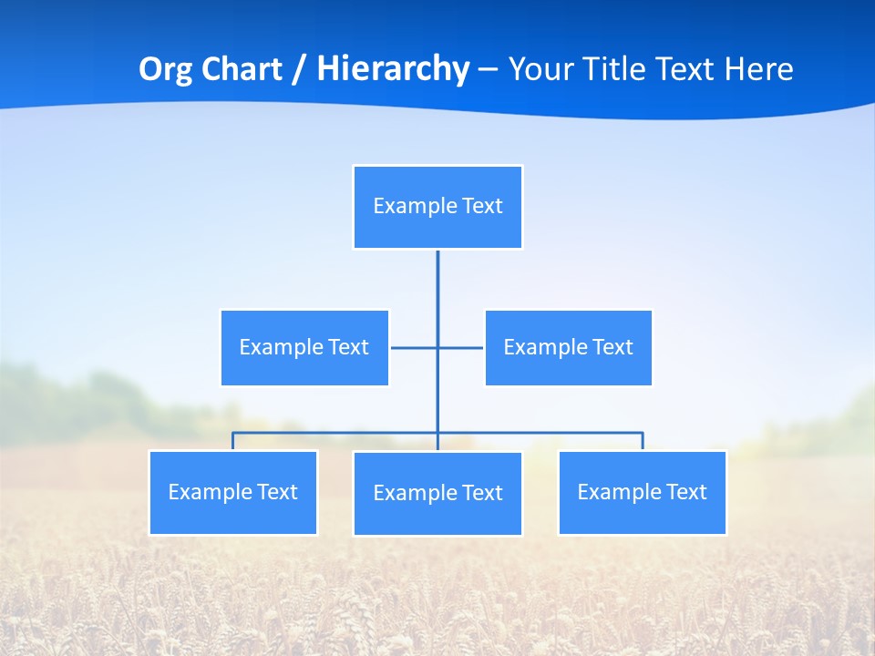 Background Wheat Straw PowerPoint Template
