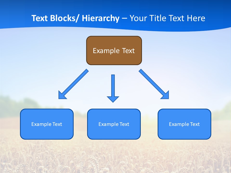 Background Wheat Straw PowerPoint Template