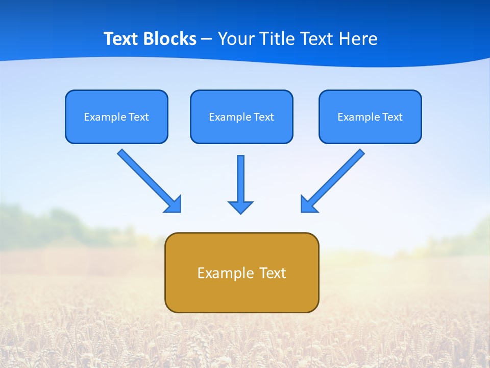 Background Wheat Straw PowerPoint Template