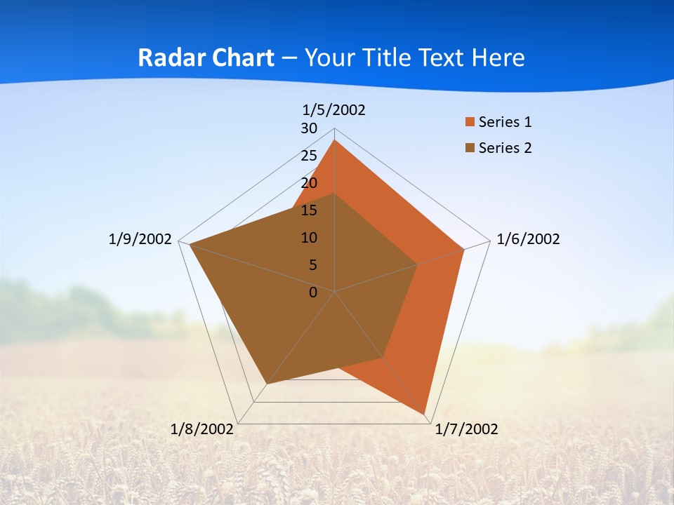 Background Wheat Straw PowerPoint Template