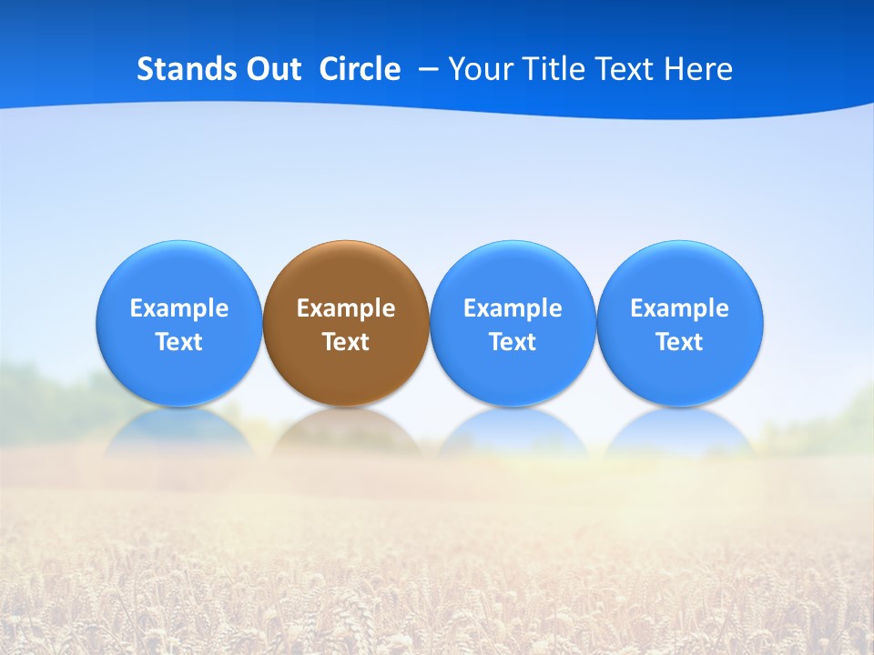 Background Wheat Straw PowerPoint Template